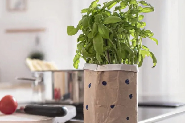 DIY-Basteltipp: Mit wenigen Handgriffen wird aus dem leeren Getränkekarton ein kleiner Blumentopf.