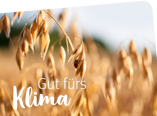 Wir möchten euch gerne zeigen, wie leicht es ist, mit ROSSMANN seinen Alltag nachhaltiger zu gestalten!